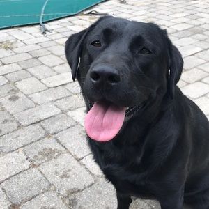 Meet your Posher, Jaclyn